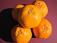 瀬戸田　はるみオレンジ　こんなに上品なオレンジがあったのね！