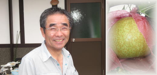 【タマル農園】　農園主　田丸隆教氏　　もぎたての完熟梨は新鮮でジューシー！溢れんばかりの果汁が堪りません。　